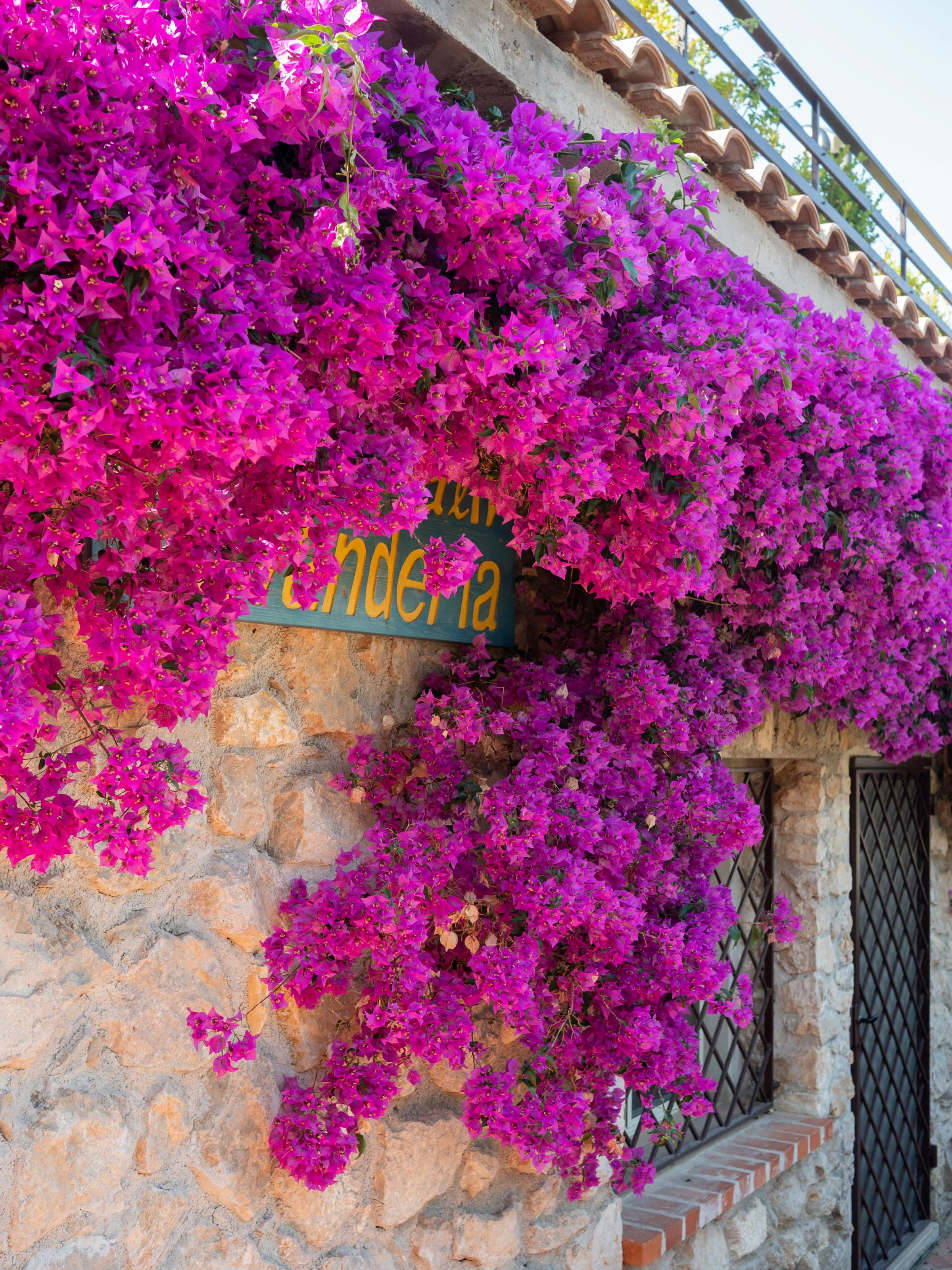 Villa Eva