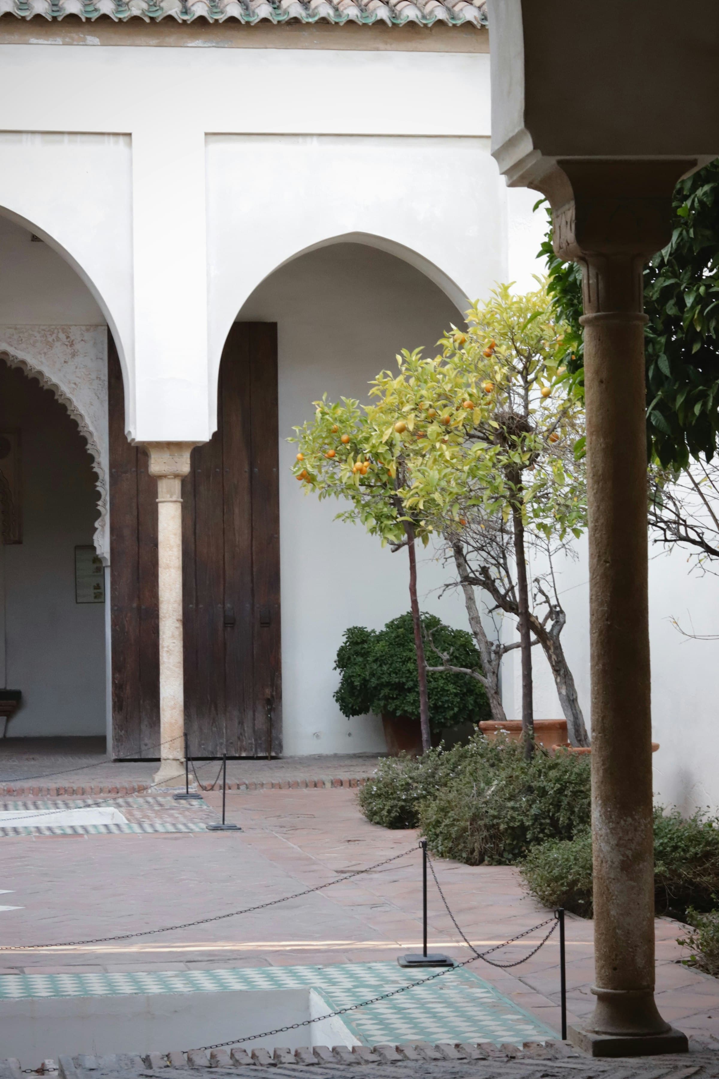 A handmade Mediterranean courtyard with arches and an orange tree