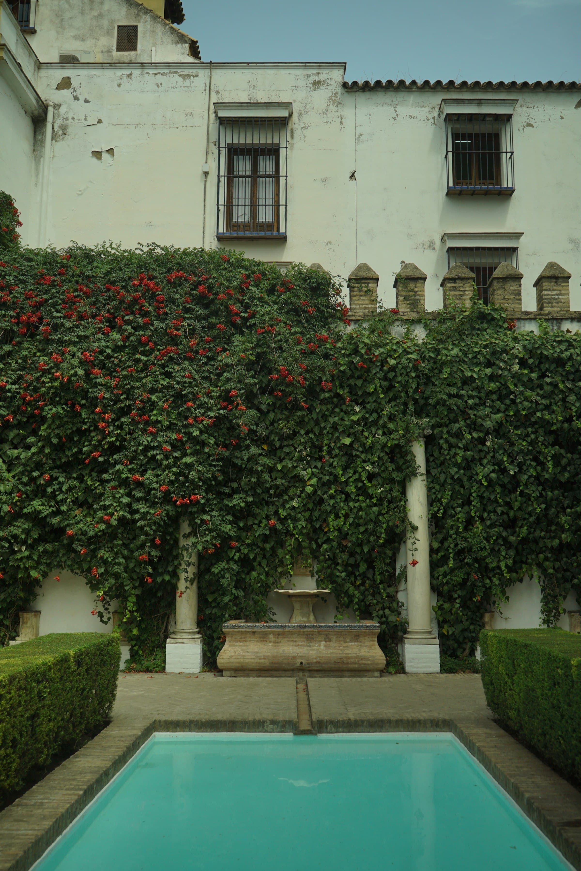 A hidden garden courtyard at Villa Eva, vines over whitewashed walls, a quiet pool